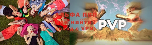 шишки Балахна
