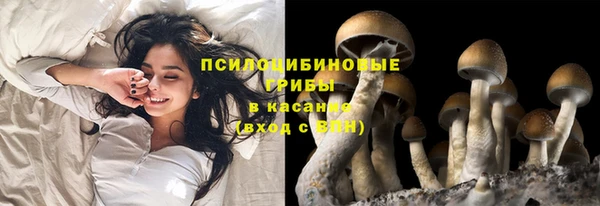 марки lsd Балабаново