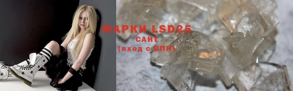 шишки Балахна