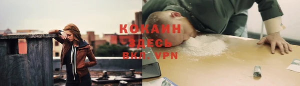 шишки Балахна
