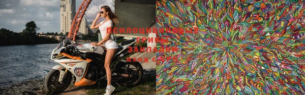 шишки Балахна