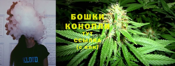 шишки Балахна