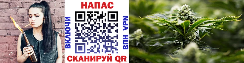 hydra   Лахденпохья  Каннабис White Widow 